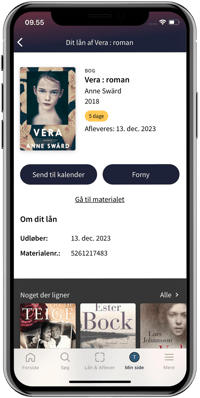 nystatus.lån2
